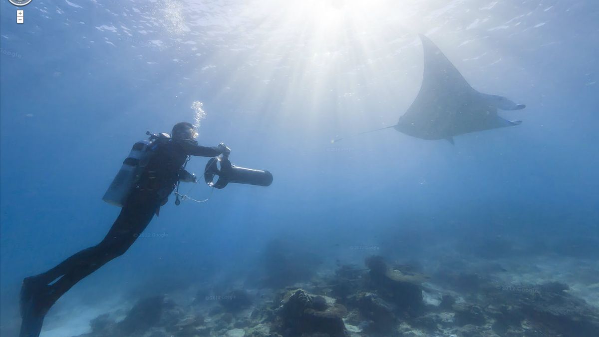 Wielki Błękit. Zobacz Wielką Rafę Koralową z Google Street View 1