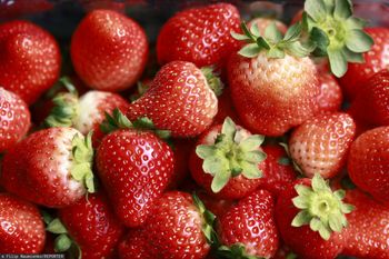 Mróz przejechał się po plantacjach. Duże straty