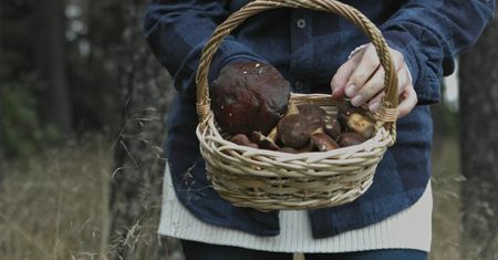 Grzybiarze są załamani. Sytuacja w lasach jest niemal tragiczna
