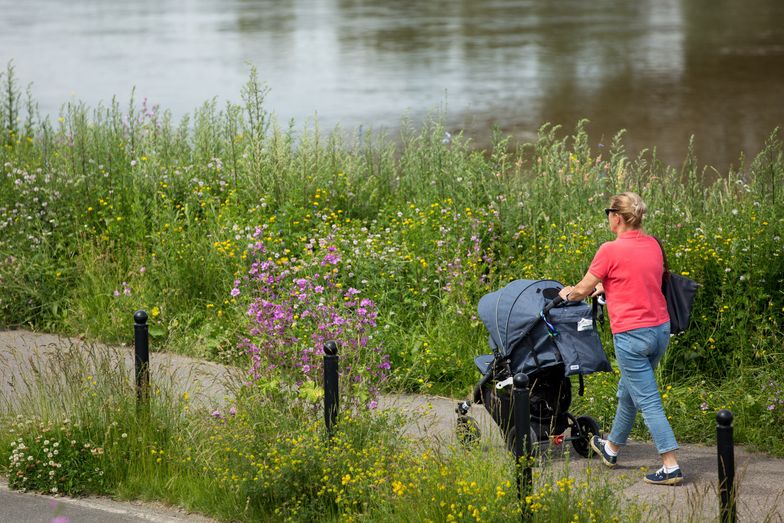 Niemcy: 300 euro dla rodziców na przeciwdziałanie COVID-19