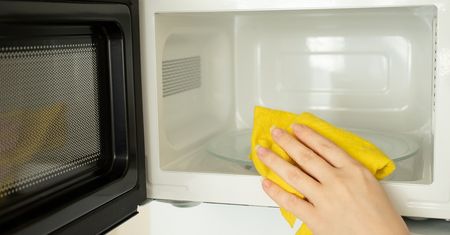Niepozorne, a groźne. Sprawdź, co może żyć w twojej mikrofalówce