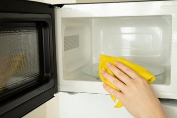 Niepozorne, a groźne. Sprawdź, co może żyć w twojej mikrofalówce