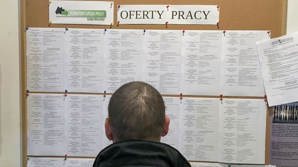 Rekordowa liczba ofert pracy na portalach rekrutacyjnych. Pracodawcy rekrutują częściej niż przed pandemią. 