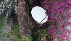 Rosną przychody operatora obsługującego Polsat Box i Canal+