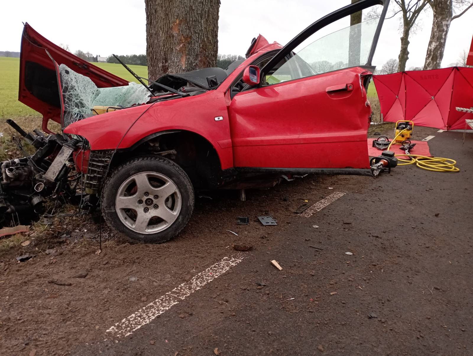Samochód osobowy rozbił się na drzewie. 