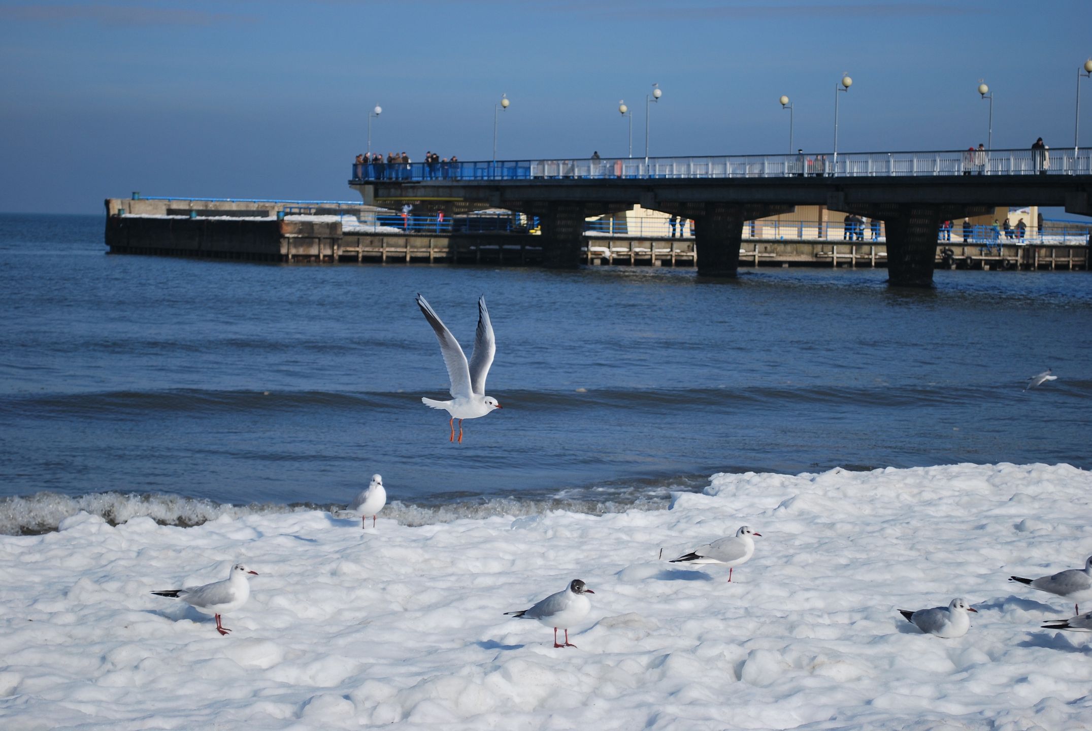 Plaża w Kołobrzegu zimą