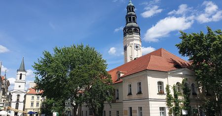 Pogoda w Zielonej Górze. Prognoza na sobotę, 8 lutego. Ciepło i bez opadów