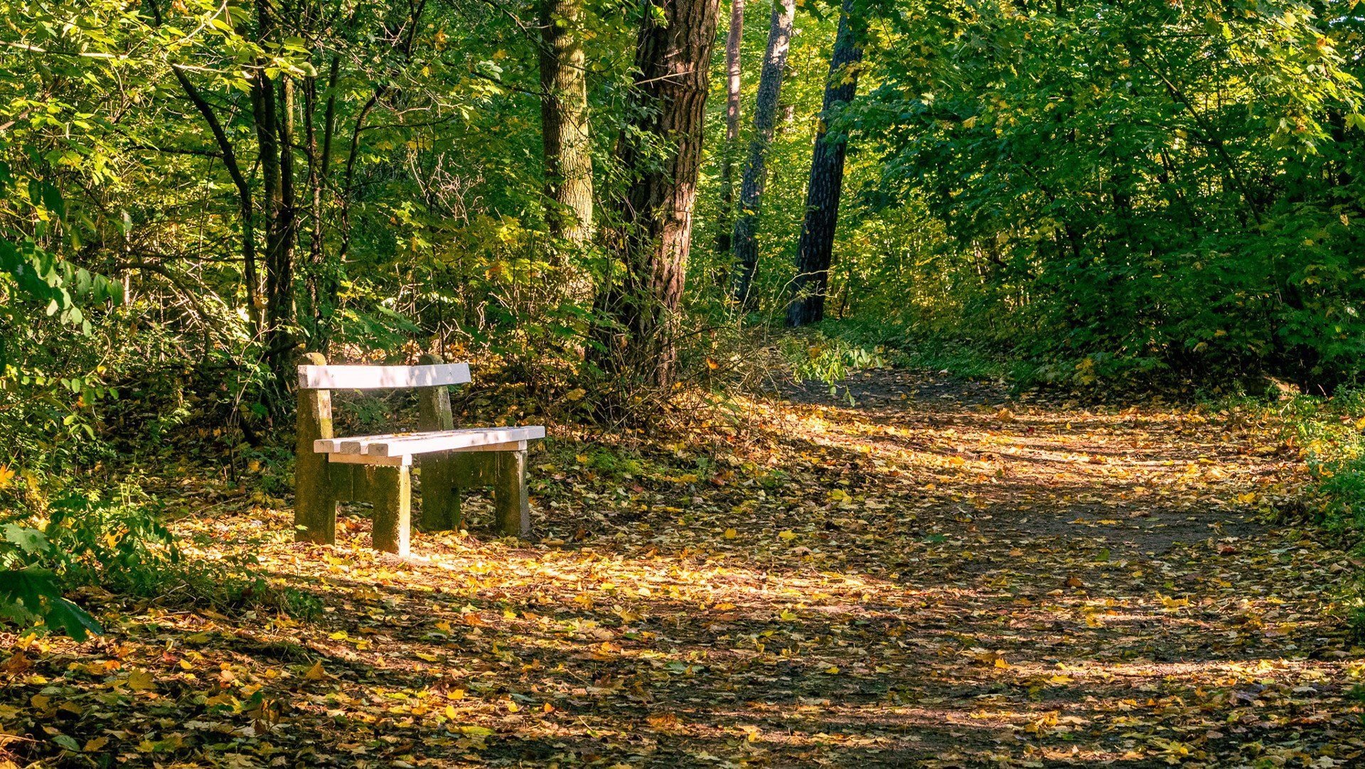 Złota jesień w Wągrowcu