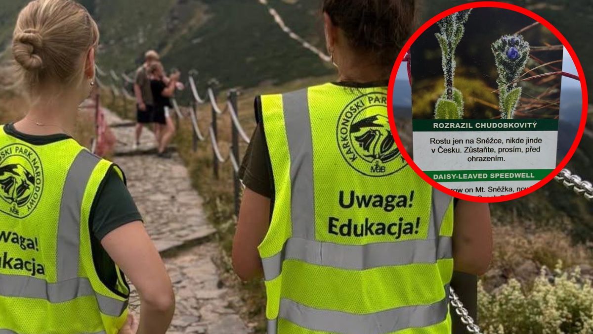 Akcja Karkonoskiego Parku Narodowego