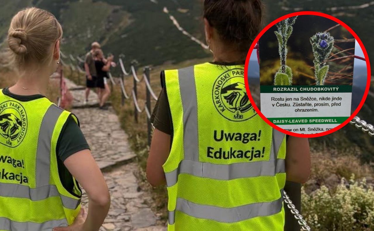 Pilnują turystów na szlakach. Akcja Karkonoskiego Parku Narodowego