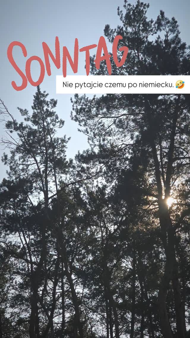 Żartobliwy wpis Macieja Peli