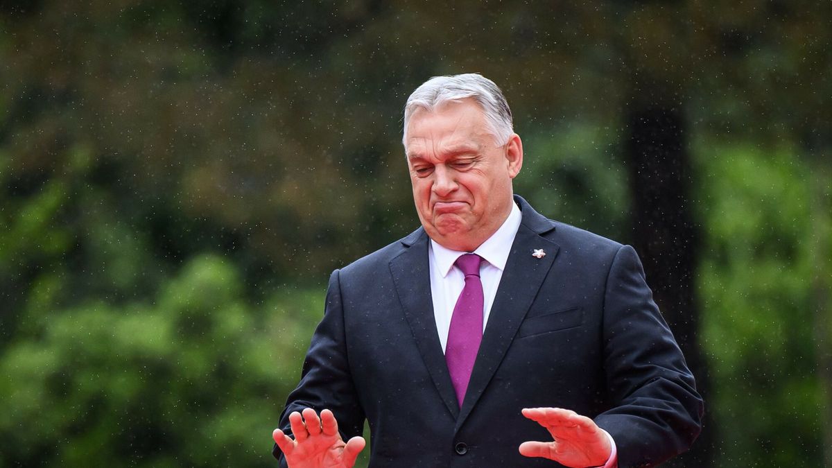 Archiwum zagraniczne East News 2025-05
Hungary's Prime Minister Viktor Orban arrives for the European Political Community (EPC) summit, in Tirana on May 16, 2025. (Photo by Leon Neal / POOL / AFP)
LEON NEAL