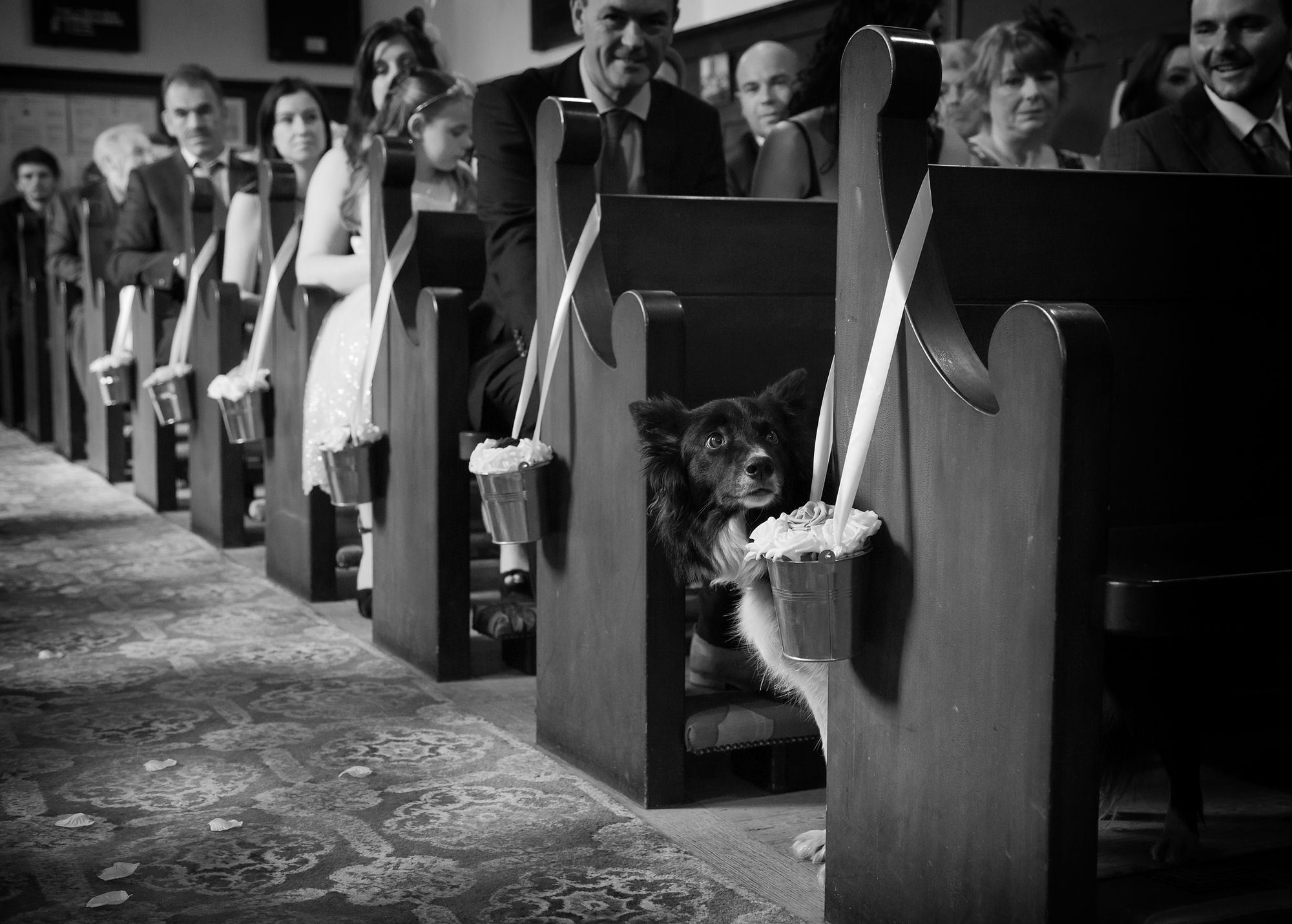 The Societies’ Photographer of the Year Awards 2016 - 44 ekspertów w jury, 10 tysięcy zdjęć, jeden zwycięzca 21