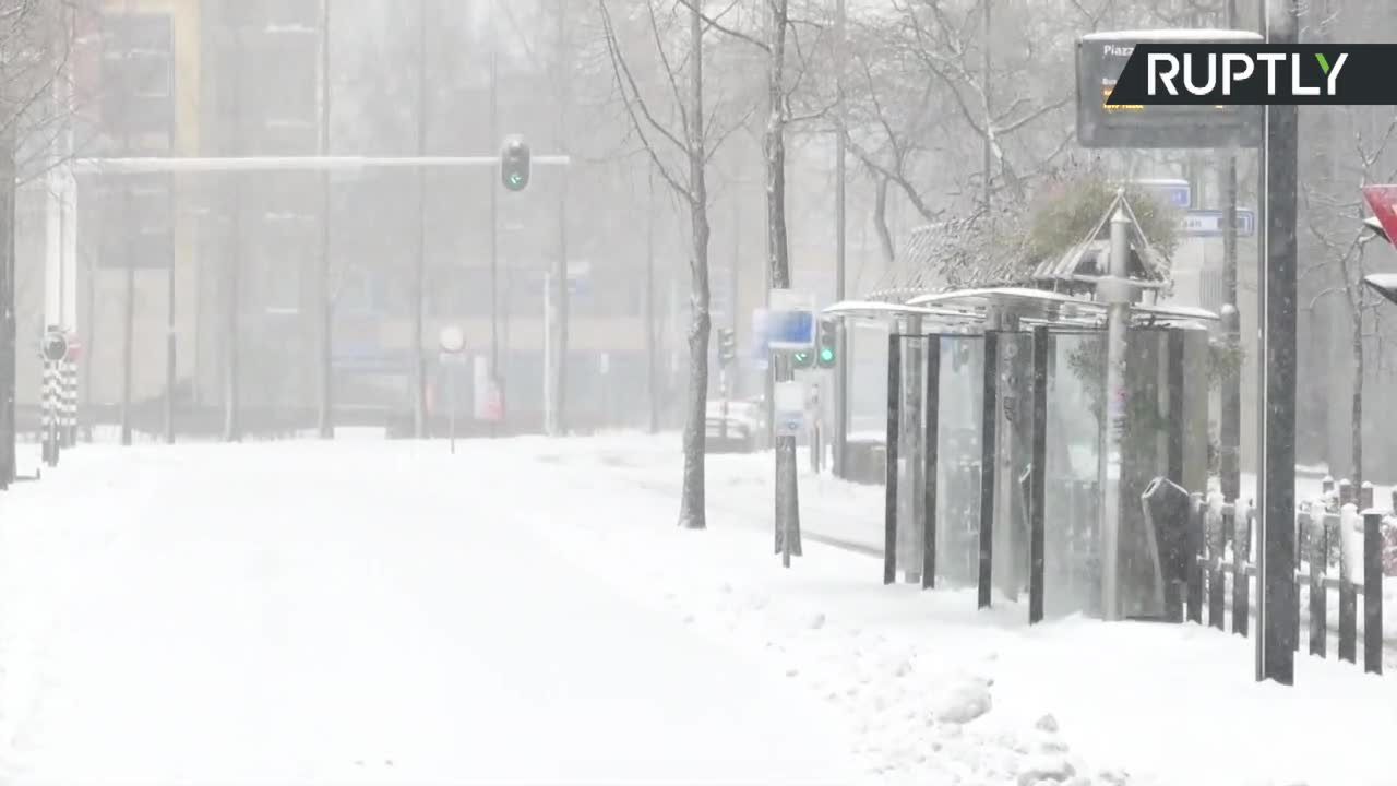 W Holandii wystąpiły największe opady śniegu od dekady