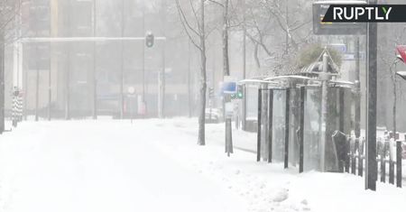 W Holandii wystąpiły największe opady śniegu od dekady