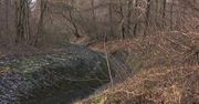 Częstochowska policja wznowiła poszukiwania zaginionej 20-latki. Magdalena Trzcińska zaginęła 2 stycznia