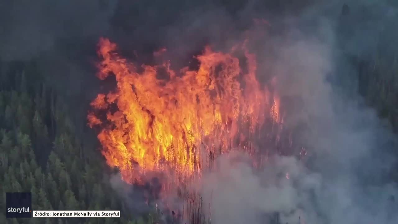 Potężny pożar lasu w Kolorado. Ogień zajął ponad 1200 hektarów.