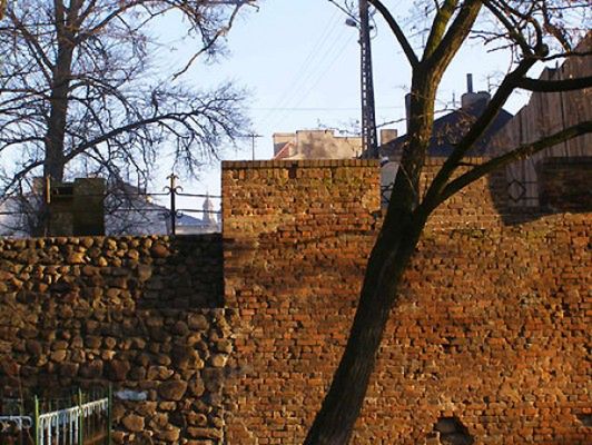 Obraz