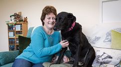 Walczyła z rakiem piersi. W tym samym czasie chorował jej pies