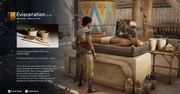 Assassin's Creed Origins z trybem mogącym być najfajniejszą lekcją historii w... historii