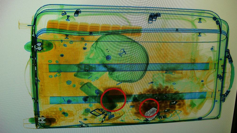 Walizka, w której wykryto ludzką czaszkę.