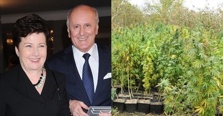 Na działce męża Hanny Gronkiewicz-Waltz znaleziono... nielegalną plantację marihuany!