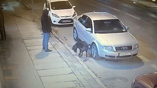 Wyszedł z psem. Nie wiedział, że jest nagrywany. "Maksymalny mandat"