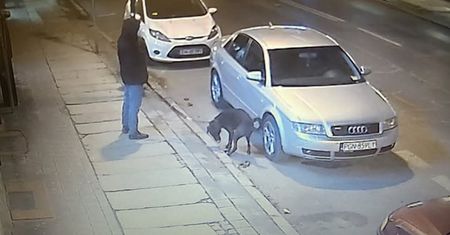 Wyszedł z psem. Nie wiedział, że jest nagrywany. "Maksymalny mandat"