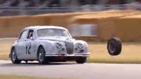 Chwile grozy podczas Festiwalu Prędkości. Ucierpiało dwóch kibiców