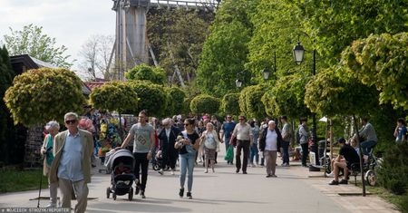 To zaskakujące dane z NFZ. Kolejki wciąż się zmniejszają
