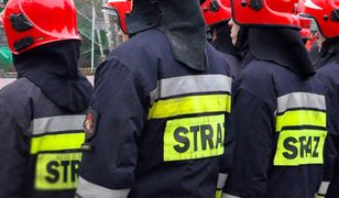 Warszawa. Pożar na Pradze Północ. Na miejscu 12 zastępów straży