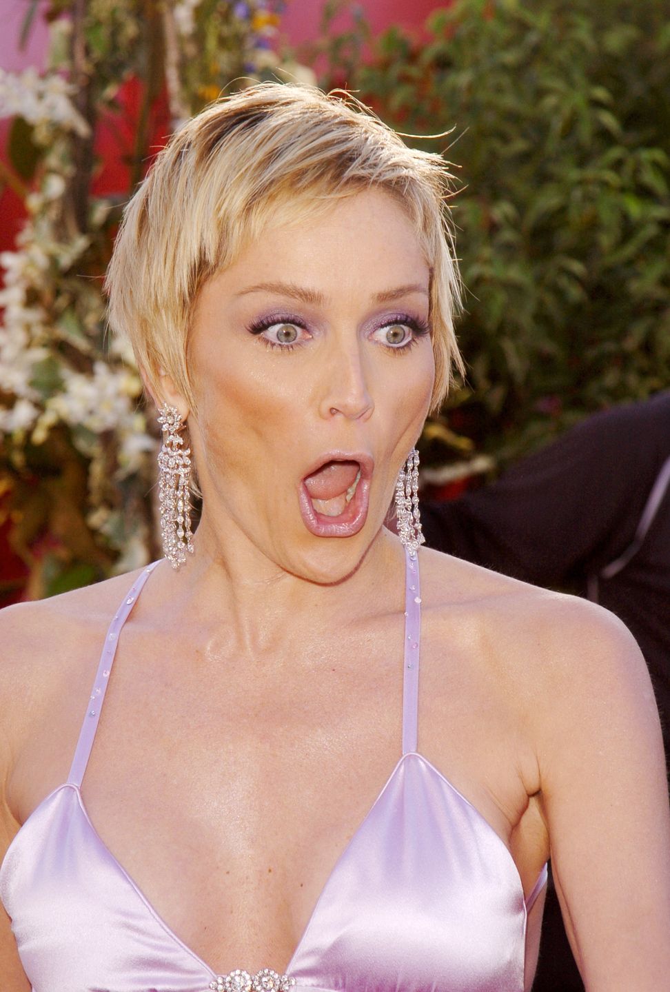 Sharon Stone