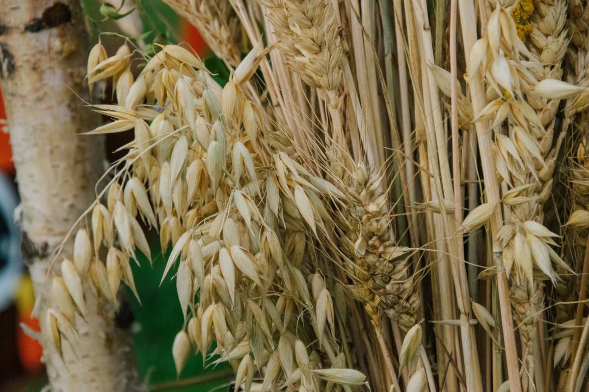 Zbąszyń: Znamy laureatów IX edycji konkursu Aktywna Wieś Wielkopolska. Uroczysta gala oraz rozdanie nagród