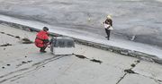 Trudna akcja na zamarzniętej Wiśle. Ratownicy WOPR uratowali rannego łabędzia