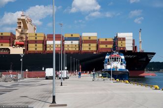 Egzotyczne pająki w transporcie, który przypłynął do portu w Gdańsku