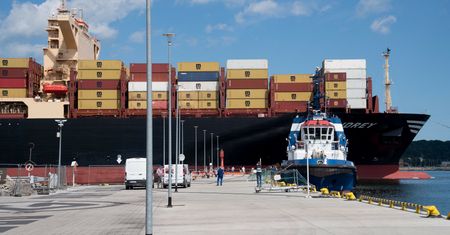 Egzotyczne pająki w transporcie, który przypłynął do portu w Gdańsku