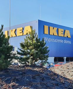 Ikea w Szczecinie prawie gotowa. Zostanie otwarta przed końcem półrocza