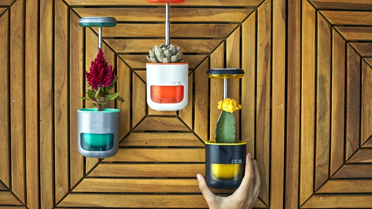 PICO to inteligentne doniczki. Stwórz swój własny miniogródek ziół czy kwiatów nawet na drzwiach lodówki 1