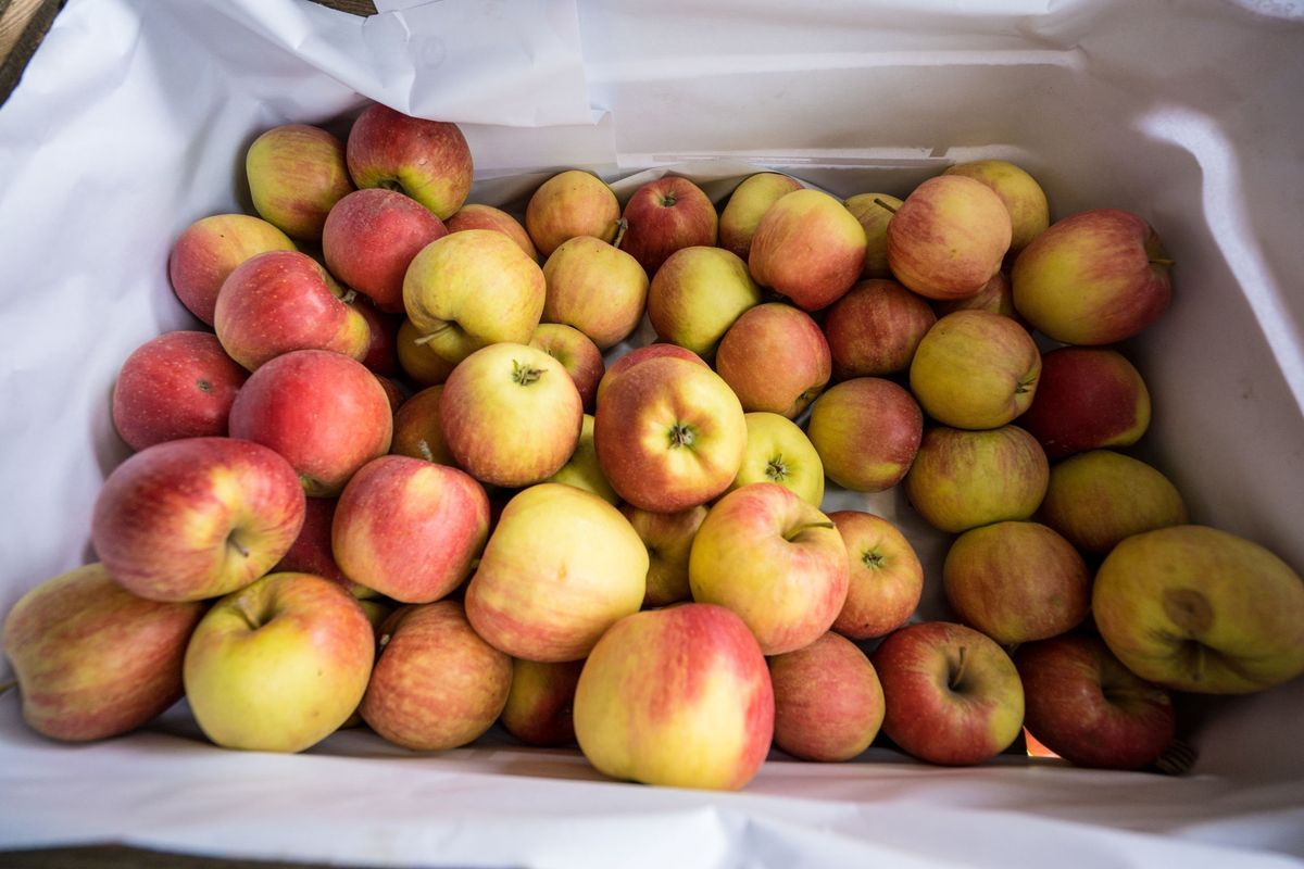 Drożyzna. Ceny jabłek za kilogram są najwyższe od 20 lat.