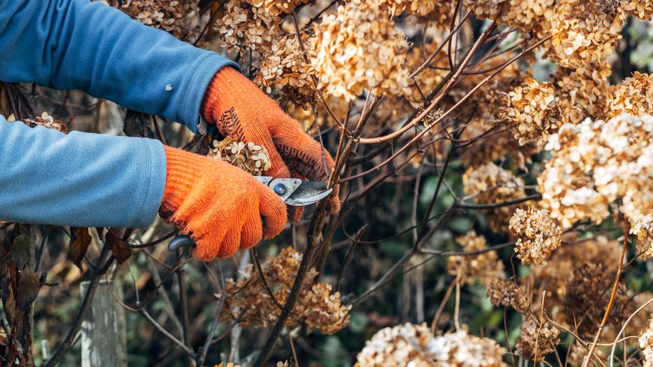 Dodatki do ogrodu, które sprawdzą się po sezonie.
