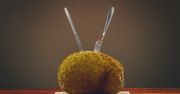 Jackfruit – gdzie kupić, jak jeść i dlaczego warto?