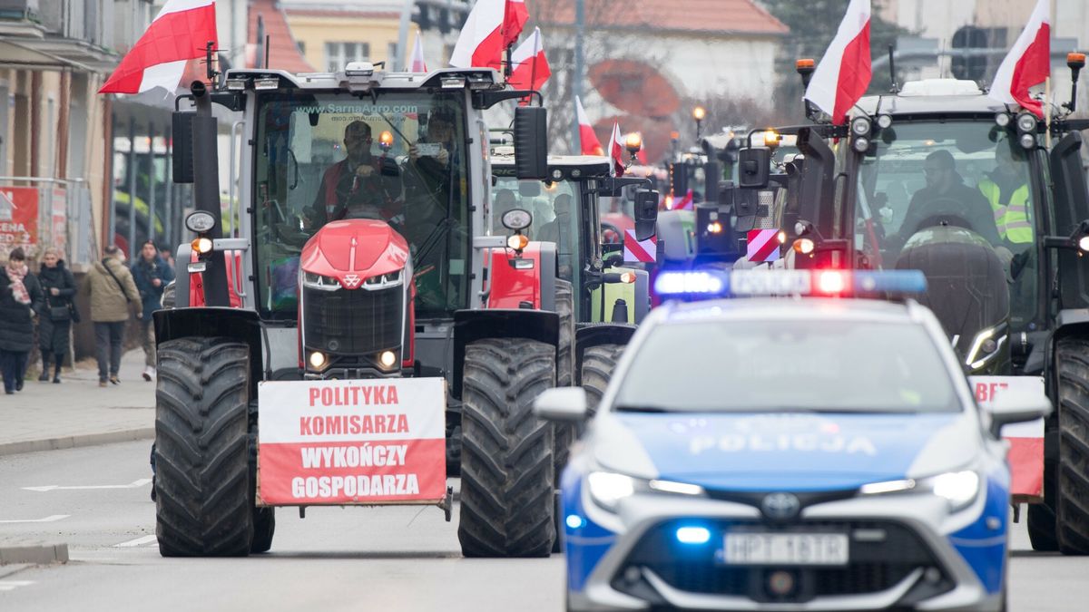 Protesty rolników wobec umowy UE-Mercosur
03.12.2024 Elbl?g Protest rolnikow wobec umowy UE-Mercosur
Fot. Wojciech Strozyk/REPORTER
Wojciech Strozyk/REPORTER