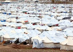 Fokus TV Dzieci dżihadystów w Syrii: stracona sprawa czy nadzieja na odkupienie