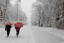 Atak zimy w Europie. Są ofiary śmiertelne śnieżycy Arwen