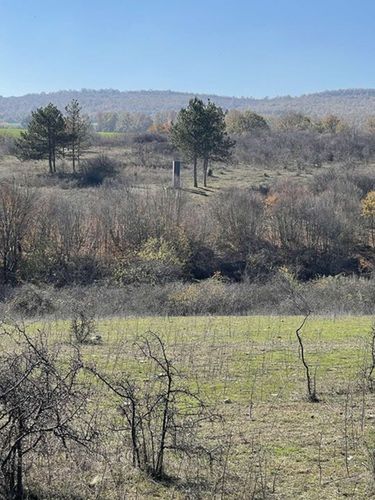 Teren, na którym doszło do katastrofy tupolewa. Rodziny chcą jeszcze raz przeszukać go w poszukiwaniu rzeczy osobistych zmarłych.
