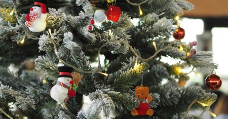 Szczecin. Sąsiedzi donieśli o łamaniu obostrzeń w Wigilię. Interweniowała policja