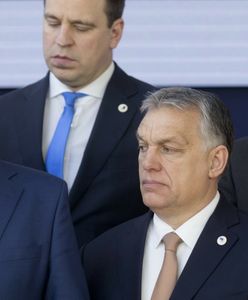 Orban zapowiada sojusz w PE. W składzie PiS
