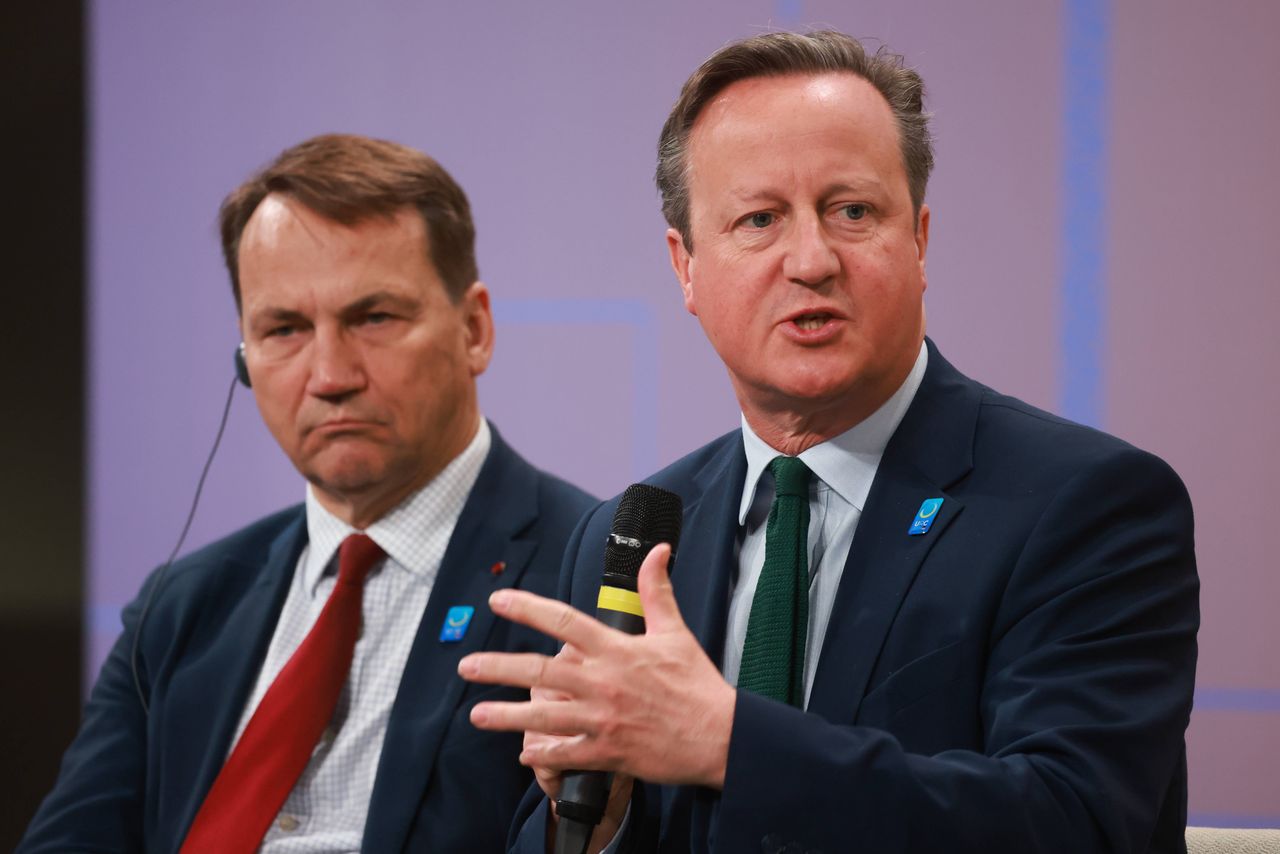 David Cameron during a conference in Berlin called for a halt to gas imports from Russia