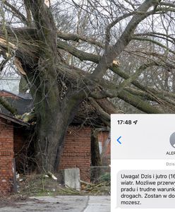 Przed nami niespokojna noc. RCB ostrzega przed wichurami