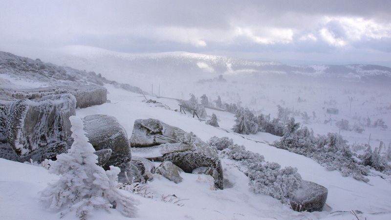 Widok ze Szrenicy, Karkonosze